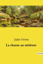 CHASSE AU METEORE