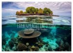 Farbenpracht im Ozean - Die Schönheit der Korallen (Wandkalender 2025 DIN A3 quer), CALVENDO Monatskalender