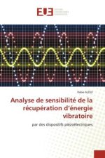 Analyse de sensibilité de la récupération d?énergie vibratoire