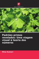 Padr?es primos revelados: Uma viagem visual ? teoria dos números