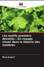 Les motifs premiers dévoilés : Un voyage visuel dans la théorie des nombres
