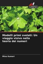 Modelli primi svelati: Un viaggio visivo nella teoria dei numeri