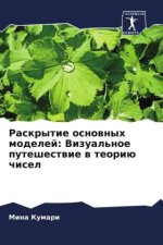 Raskrytie osnownyh modelej: Vizual'noe puteshestwie w teoriü chisel