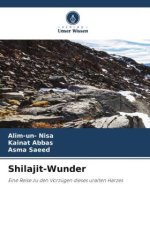 Shilajit-Wunder
