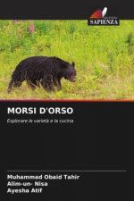 MORSI D'ORSO