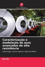 Caracterizaç?o e modelaç?o de aços avançados de alta resist?ncia