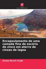 Encapsulamento de uma camada fina de escória de zinco em aterro de cinzas de lagoa