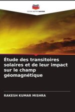 Étude des transitoires solaires et de leur impact sur le champ géomagnétique
