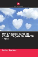 Um primeiro curso de COMPUTAÇ?O EM NUVEM - fácil