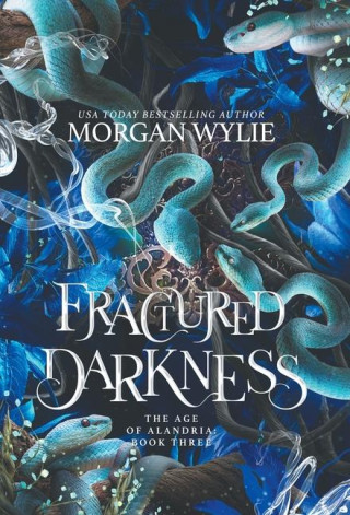Fractured Darkness