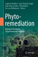 Phytoremediation