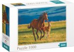 Puzzle Výchova hříběte