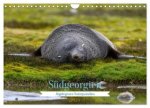 Südgeorgien - Abgelegenes Naturparadies (Wandkalender 2025 DIN A4 quer), CALVENDO Monatskalender
