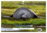Südgeorgien - Abgelegenes Naturparadies (Wandkalender 2025 DIN A3 quer), CALVENDO Monatskalender