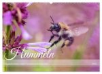 Hummeln - Flugaufnahmen eines faszinierenden Insekts (Wandkalender 2025 DIN A2 quer), CALVENDO Monatskalender