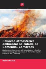 Poluição atmosférica ambiental na cidade de Bamenda, Camarões