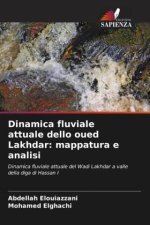 Dinamica fluviale attuale dello oued Lakhdar: mappatura e analisi