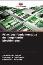 Principes fondamentaux de l'ingénierie biochimique