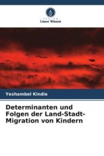 Determinanten und Folgen der Land-Stadt-Migration von Kindern