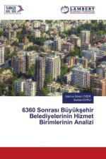 6360 Sonrasi Büyüksehir Belediyelerinin Hizmet Birimlerinin Analizi