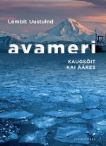 Avameri. kaugsõit kai ääres