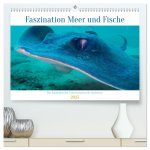 Faszination Meer und Fische (hochwertiger Premium Wandkalender 2025 DIN A2 quer), Kunstdruck in Hochglanz