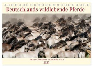 Deutschlands wildlebende Pferde (Tischkalender 2025 DIN A5 quer), CALVENDO Monatskalender