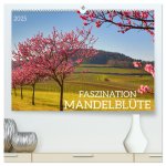 FASZINATION MANDELBLÜTE (hochwertiger Premium Wandkalender 2025 DIN A2 quer), Kunstdruck in Hochglanz