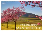 FASZINATION MANDELBLÜTE (Wandkalender 2025 DIN A2 quer), CALVENDO Monatskalender