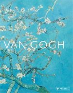 VAN GOGH THE BIGGER PICTURE