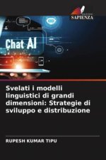 Svelati i modelli linguistici di grandi dimensioni: Strategie di sviluppo e distribuzione