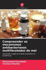 Compreender os mecanismos antibacterianos multifacetados do mel
