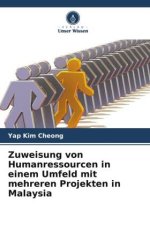 Zuweisung von Humanressourcen in einem Umfeld mit mehreren Projekten in Malaysia