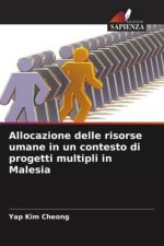 Allocazione delle risorse umane in un contesto di progetti multipli in Malesia