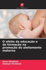 O efeito da educação e da formação na promoção do aleitamento materno