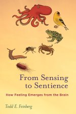 FROM SENSING TO SENTIENCE