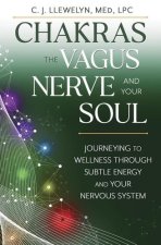 MINDFUL WAY THROUGH THE CHAKRAS & THE VA