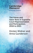The Haves and Have-Nots in Supreme Court Representation and Participation, 2016 to 2021