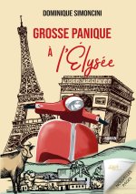 GROSSE PANIQUE A ELYSEE
