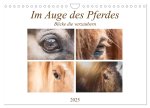 Im Auge des Pferdes (Wandkalender 2025 DIN A4 quer), CALVENDO Monatskalender