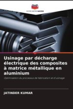 Usinage par décharge électrique des composites à matrice métallique en aluminium