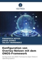 Konfiguration von Overlay-Netzen mit dem ONOS-Framework