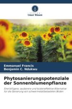 Phytosanierungspotenziale der Sonnenblumenpflanze