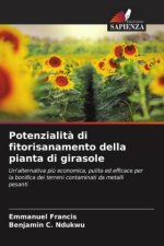 Potenzialità di fitorisanamento della pianta di girasole