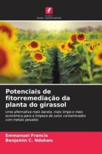 Potenciais de fitorremediação da planta do girassol