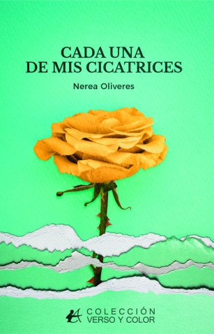 Cada una de mis cicatrices