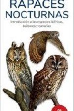 RAPACES NOCTURNAS