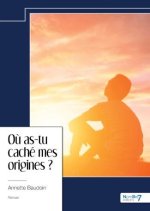 Où as-tu caché mes origines ?