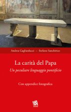 carità del papa. Un peculiare linguaggio pontificio