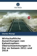Wirtschaftliche Auswirkungen von Katastrophen: Überschwemmungen in Dar es Salaam 2011 und 2014